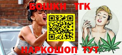 гидра Новозыбков