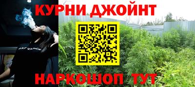 гидра Новозыбков