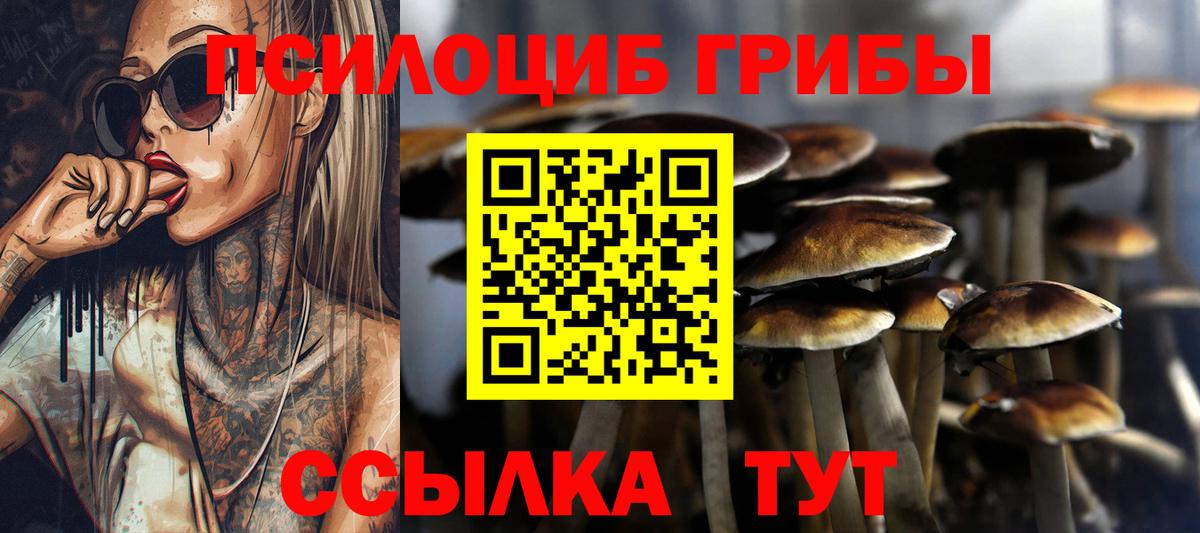 Галлюциногенные грибы Magic Shrooms  Вход с VPN  Ростов-на-Дону 