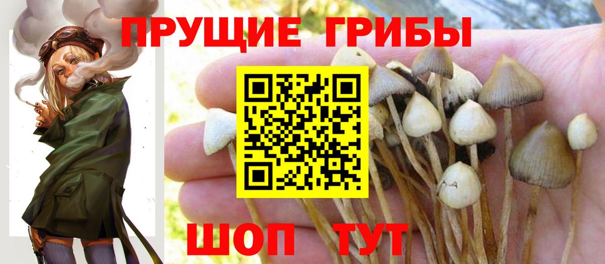 Галлюциногенные грибы мицелий Ростов-на-Дону